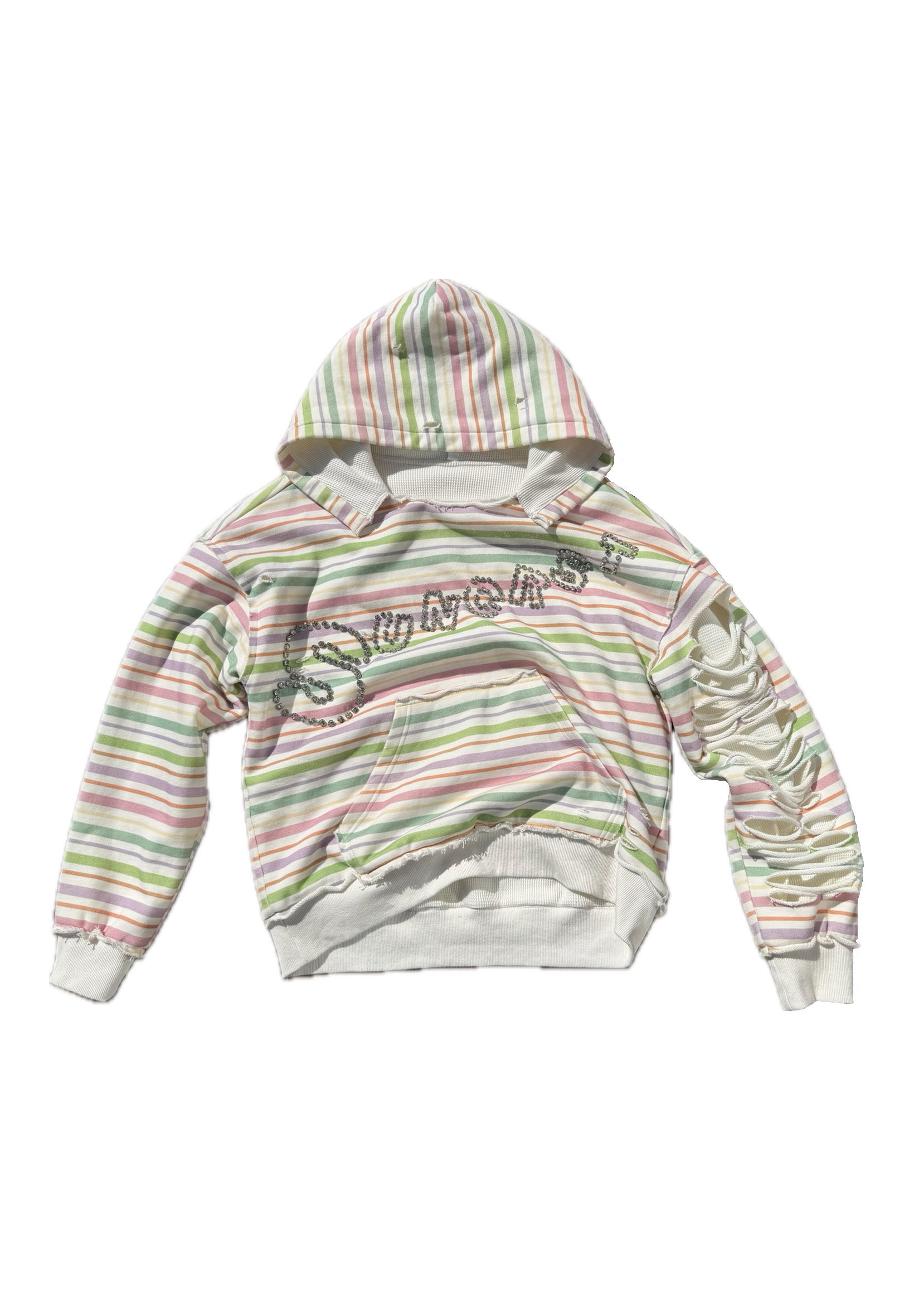 Pastel Coup D’état Hoodie